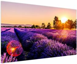 Mivali Tablou cu câmp de lavanda, dintr-o bucată 150x100 cm (V020540V150100)