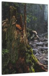 Mivali Tablou - În pădure, dintr-o bucată 30x40 cm (V021577V3040)