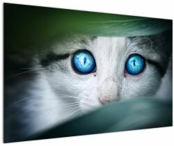 Mivali Tablou cu pisica, dintr-o bucată 120x80 cm (V020944V12080)