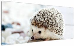 Mivali Tablou cu arici, dintr-o bucată 120x50 cm (V020368V12050)