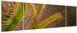 Mivali Tablou cu plantă, din trei bucăți 170x50 cm (V020984V17050)