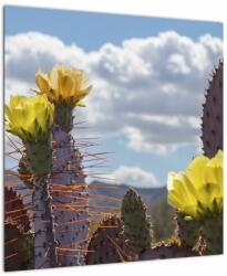 Mivali Tablou cu floarea de cactus Opunție, dintr-o bucată 50x50 cm (V021553V5050)