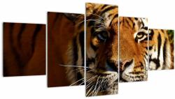 Mivali Tablou cu tigrul, din cinci bucăți 150x80 cm (V021272V150805PCS)
