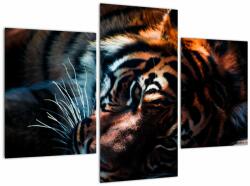 Mivali Tablou cu tigrul dormind, din trei bucăți 90x60 cm (V021214V90603PCS)