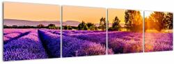Mivali Tablou cu câmp de lavandă, Provincie, din patru bucăți 160x40 cm (V021590V16040)