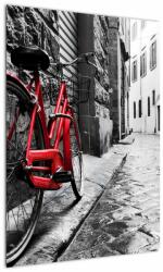 Mivali Tablou - Bicicleta roșie pe o stradă pavată, dintr-o bucată 50x70 cm (V023213V5070)