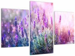 Mivali Tablou - Lavandă în strălucirea soarelui, din trei bucăți 90x60 cm (V022464V90603PCS)