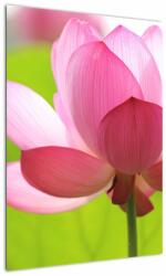 Mivali Tablou cu flori de lotus, dintr-o bucată 50x70 cm (V021697V5070)