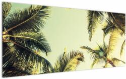 Mivali Tablou - Palmieri de cocos, dintr-o bucată 120x50 cm (V023328V12050)