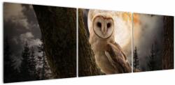 Mivali Tablou cu bufnița, din trei bucăți 150x50 cm (V022174V15050)