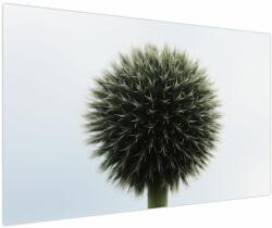 Mivali Tablou - Sfere de flori, dintr-o bucată 150x100 cm (V022586V150100)