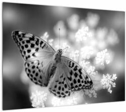 Mivali Tablou pe sticlă - Detailu cu fluture care polenizează floare, dintr-o bucată 70x50 cm pe sticlă (V022085V7050GD)