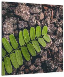 Mivali Tablou pe sticlă cu planta verde, dintr-o bucată 40x40 cm pe sticlă (V020371V4040GD)