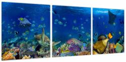 Mivali Tablou - Ocean, din trei bucăți 90x30 cm (V024082V9030)
