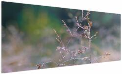 Mivali Tablou - Detaliu timp, dintr-o bucată 250x125 cm (V024034V250125)