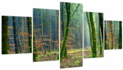 Mivali Tablou cu pădure (cu ceas), din cinci bucăți 150x80 cm cu ceas (V020904V15080C)
