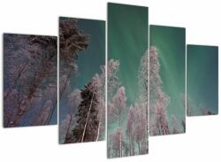 Mivali Tablou cu aurora borealis deasupra pomilor înghețați, din cinci bucăți 150x105 cm (V021684V150105)