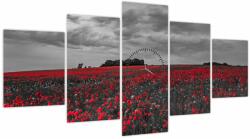 Mivali Tablou cu maci (cu ceas), din cinci bucăți 150x80 cm cu ceas (V020987V15080C)