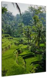 Mivali Tablou cu terasele cu orez Tegalalang, Bali, dintr-o bucată 50x70 cm (V021569V5070)