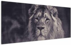 Mivali Tablou cu leu, dintr-o bucată 120x50 cm (V021400V12050)