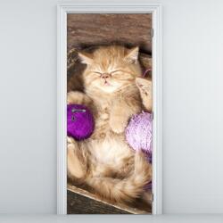 Mivali Fototapeta pentru ușă - pisicuța cu ghem violet (D014996D95205)