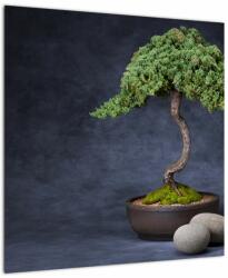 Mivali Tablou - Bonsai, dintr-o bucată 50x50 cm (V022509V5050)
