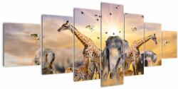 Mivali Tablou - Animae din Africa, din șapte bucăți 210x100 cm (V022143V210100)