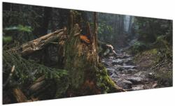 Mivali Tablou - În pădure, dintr-o bucată 250x125 cm (V021577V250125)