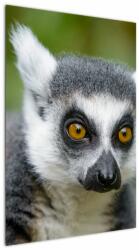 Mivali Tablou cu lemur, dintr-o bucată 60x90 cm (V021130V6090)