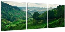 Mivali Tablou Plantații de ceai - Malaezia, din trei bucăți 90x30 cm (V022493V9030)