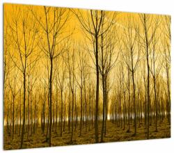 Mivali Tablou pe sticlă cu pădure în apus de soare, dintr-o bucată 70x50 cm pe sticlă (V020905V7050GD)