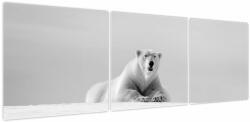 Mivali Tablou - Urs polar, alb-negru, din trei bucăți 150x50 cm (V024131V15050)