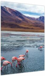 Mivali Tablou - Flamingo, dintr-o bucată 50x70 cm (V023797V5070)