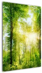 Mivali Tablou - Răsărit în pădure, dintr-o bucată 60x90 cm (V022345V6090)