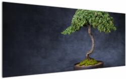 Mivali Tablou - Bonsai, dintr-o bucată 120x50 cm (V022509V12050)
