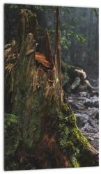 Mivali Tablou - În pădure, dintr-o bucată 20x30 cm (V021577V2030)