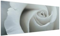 Mivali Tablou - Trandafirul alb, dintr-o bucată 250x125 cm (V021732V250125)