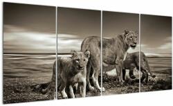 Mivali Tablou cu leii alb negri, din patru bucăți 160x80 cm (V020475V16080)