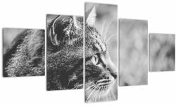 Mivali Tablou - Pisica, din cinci bucăți 125x70 cm (V022727V12570)