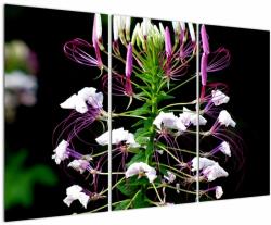 Mivali Tablou cu floare, din trei bucăți 120x80 cm (V021256V120803PCS)