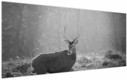 Mivali Tablou - Căprioare in pădure, alb-negru, dintr-o bucată 120x50 cm (V024116V12050)