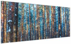Mivali Tablou - Pădurea iarna, dintr-o bucată 200x100 cm (V023464V200100)