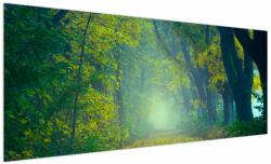 Mivali Tablou cu drum dea lungul cu copaci, dintr-o bucată 250x125 cm (V020165V250125)