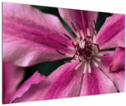 Mivali Tablou cu floarea roz de clematis, dintr-o bucată 120x80 cm (V021607V12080)