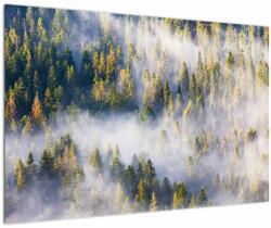 Mivali Tablou - Copac în ceață, dintr-o bucată 90x60 cm (V023148V9060)