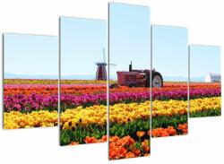 Mivali Tablou cu farma de lalele, din cinci bucăți 150x105 cm (V021542V150105)