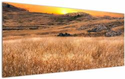 Mivali Tablou cu câmp, dintr-o bucată 120x50 cm (V020837V12050)