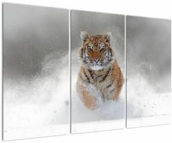 Mivali Tablou cutigru fugind prin zăpadă, din trei bucăți 120x80 cm (V020719V120803PCS)