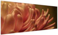 Mivali Tablou cu detailu florii, dintr-o bucată 250x125 cm (V021160V250125)