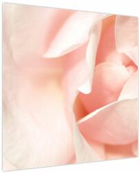 Mivali Tablou - Trandafiri, dintr-o bucată 70x70 cm (V023709V7070)